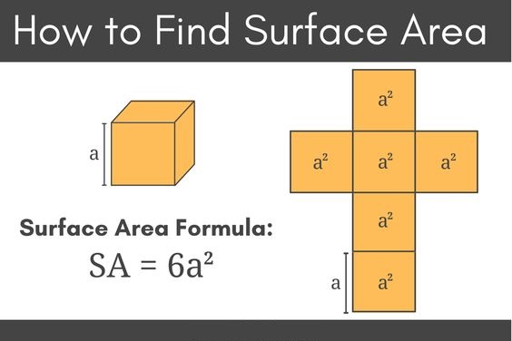 Surface Area 1.1